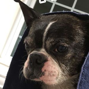 Meet your Posher, Ian